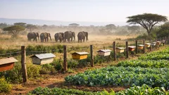 Recinzione con arnie contro gli elefanti: come funziona la beehive fence e perché è efficace