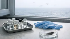 PFAS, le “sostanze eterne” arrivano fino agli uccelli marini sub-antartici: cosa dice lo studio